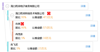 海口雨潤電子商務(wù) 一家海口網(wǎng)絡(luò)技術(shù)企業(yè)的創(chuàng)新實踐